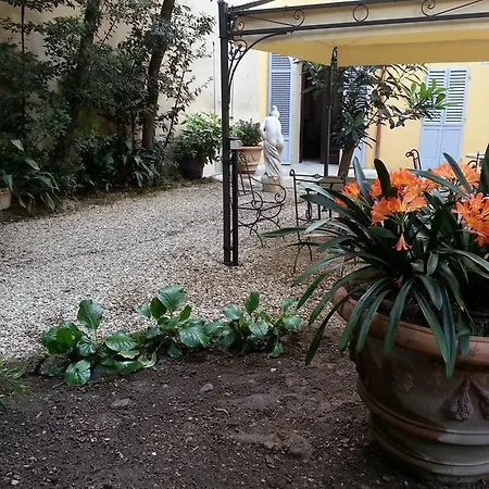 Little Garden Donatello